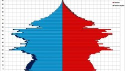 Половозрастная пирамида Китая по итогам переписи 2020 года